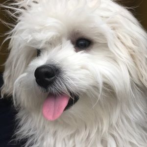 Meet your Posher, Katherine